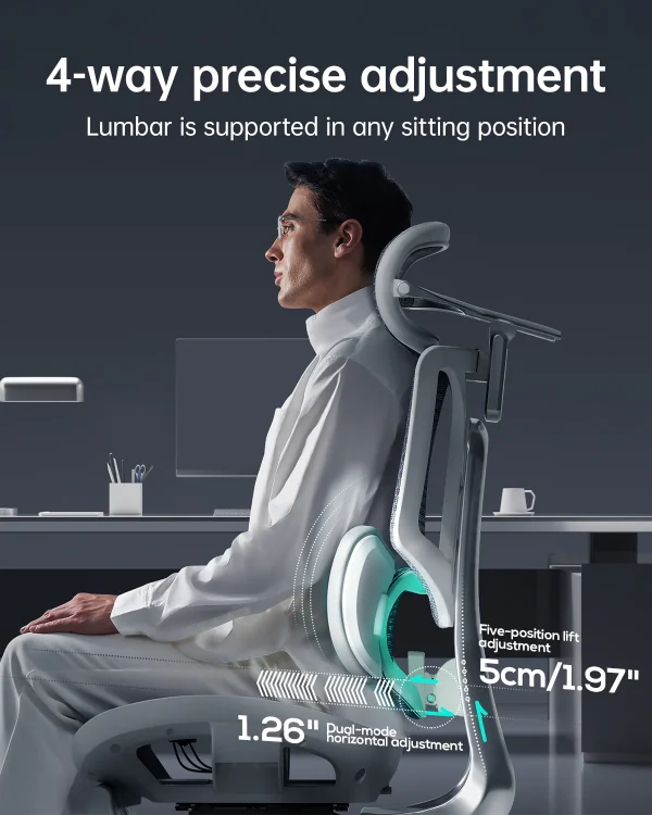 HBADA E3 Ultra Ergonomic Office Chair - Image 3